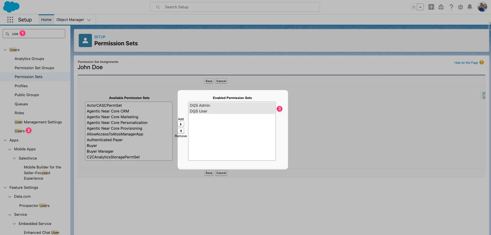 Permission Sets assignment in Salesforce Setup showing DQS Admin and DQS User in Enabled Permission Sets
